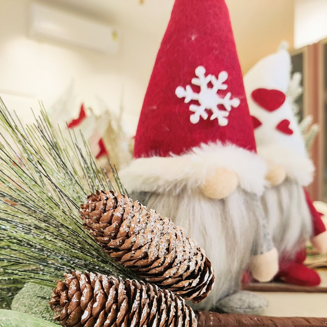 Cute Santa Claus