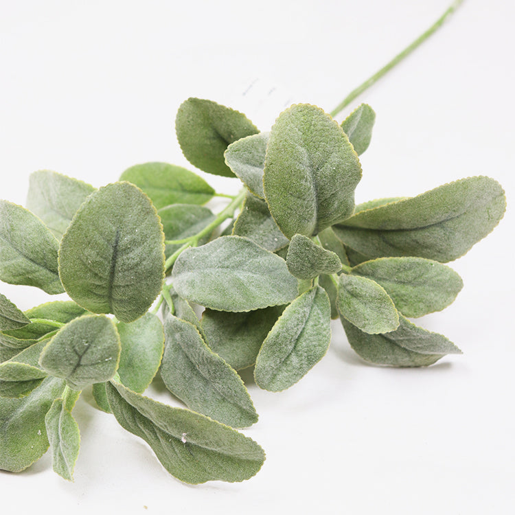 Christmas frosted Plant