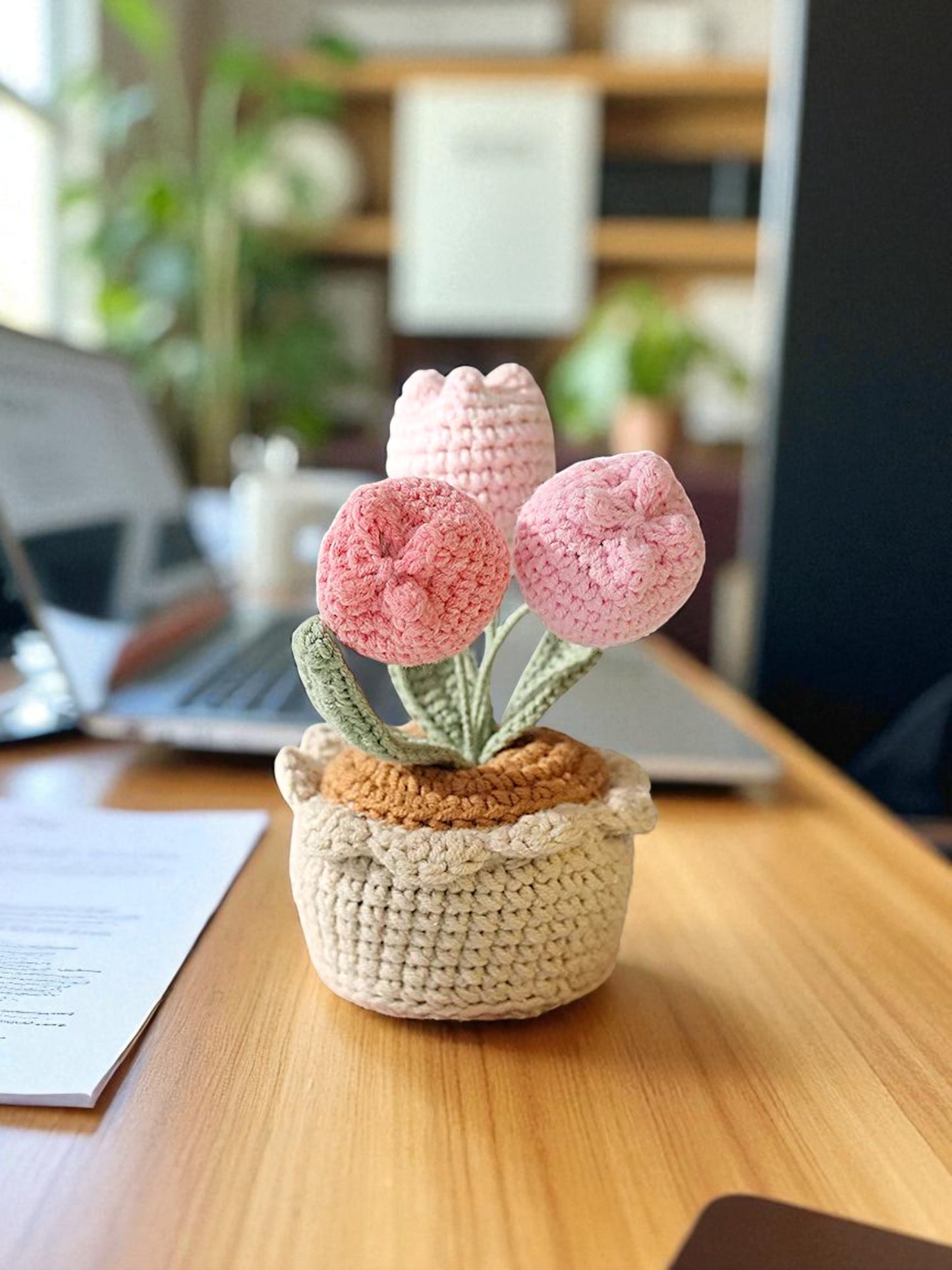 Crochet Emotional Support Desk Plant