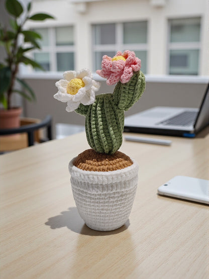 Handmade Crochet Mini Potted Plant for Work Desk - 2 Cacti Flowers